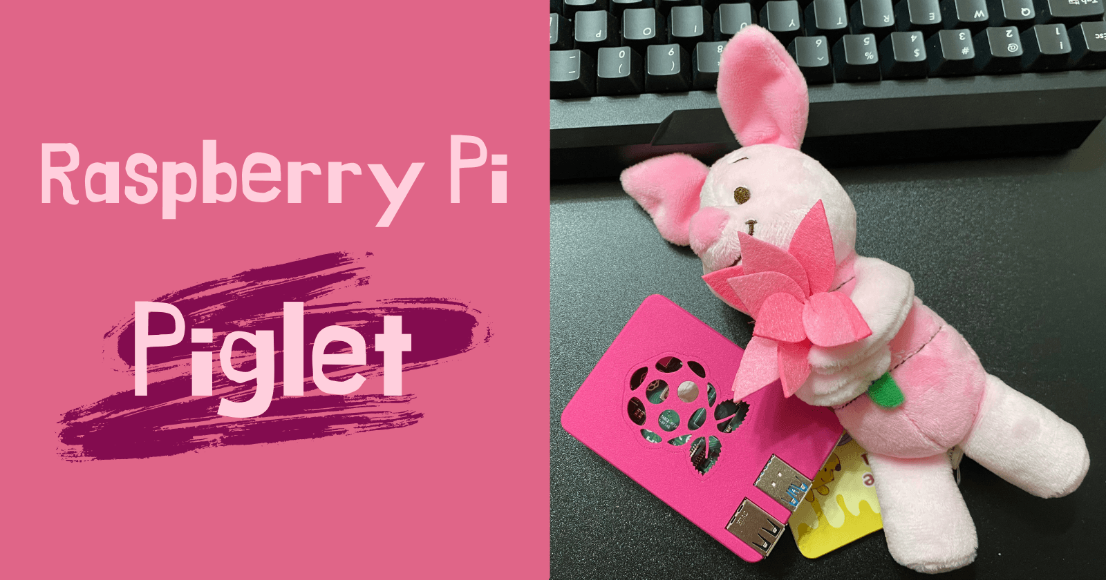Raspberry Pi Piglet